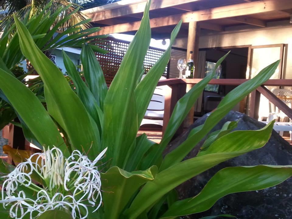 Sunset Palms Rarotonga Hotel Luaran gambar